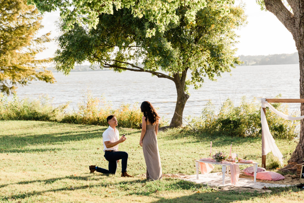 Dallas Picnic Proposal Photography