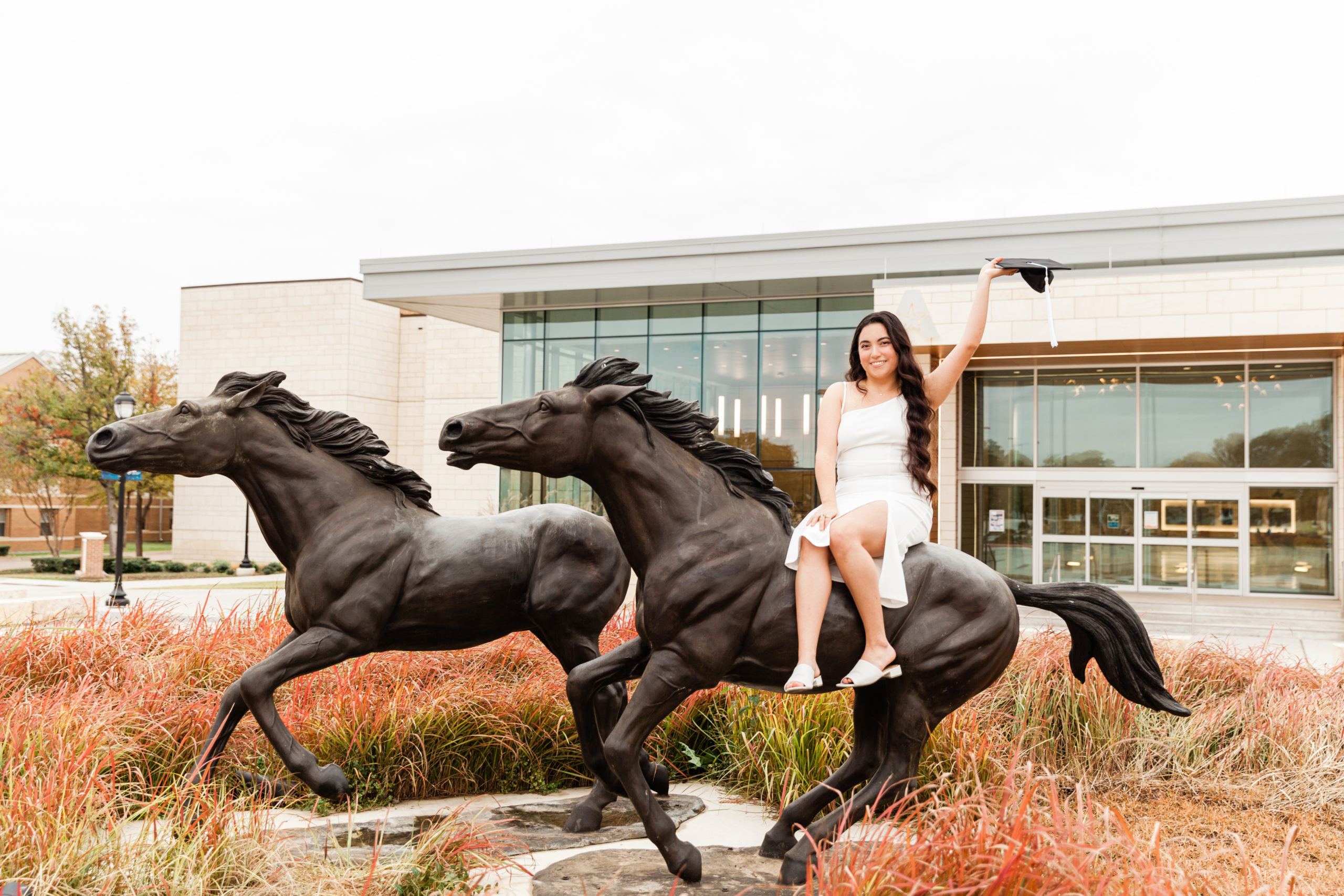 UT Arlington senior graduation horse statue University Center
